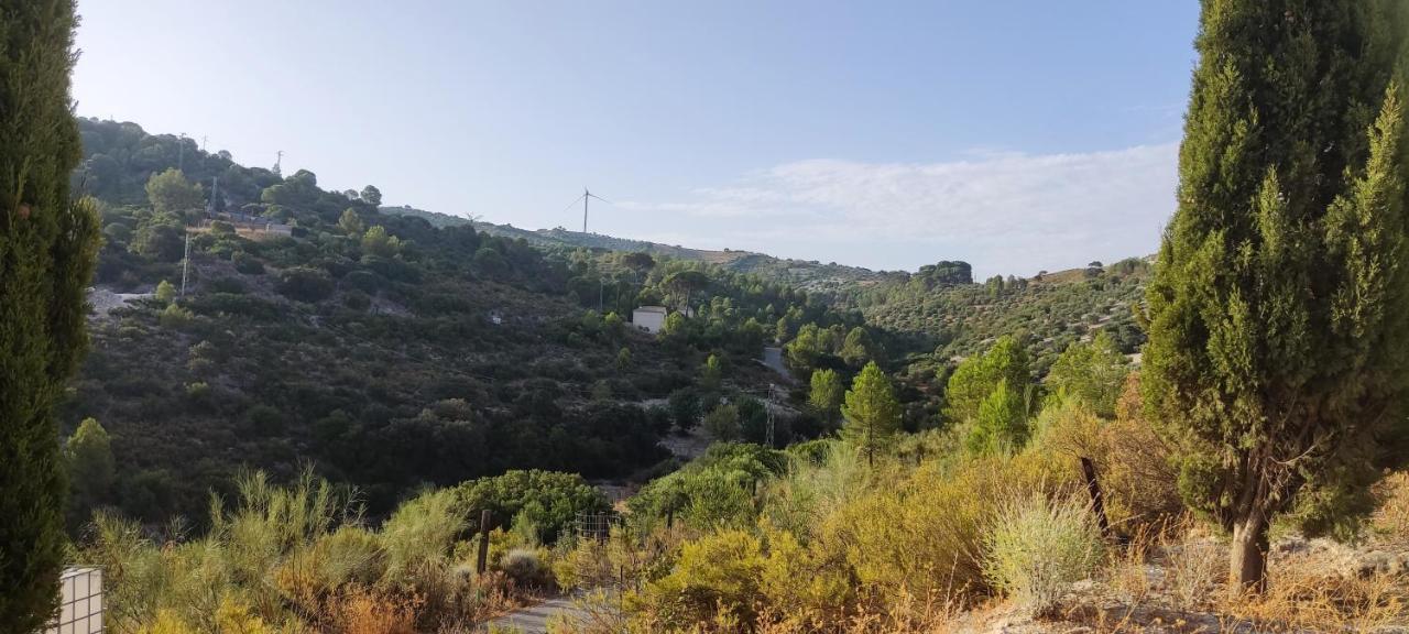 Casas Rurales Las Vinas โอซูนา ภายนอก รูปภาพ